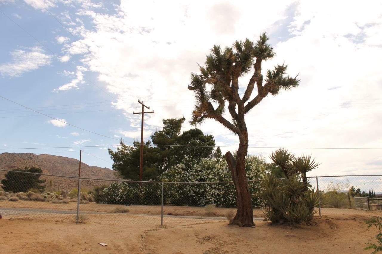 Eclectic Joshua Tree Villa Exterior foto